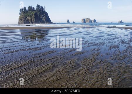 Offsore Sea Stacks und Sandstrand am Low TideSecond Beach Olympic National Park Washington State USA LA001624 Stockfoto