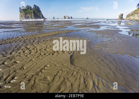 Offsore Sea Stacks und Sandstrand am Low TideSecond Beach Olympic National Park Washington State USA LA001628 Stockfoto