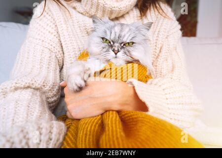 Frau in kuscheligen Pullover hält in den Armen mürrisch Katze in karierten. Katze ruht und erwärmt sich unter einer weichen Decke im kalten Herbst oder Winter Stockfoto