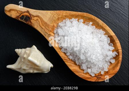 Meersalz in Holzlöffel und Muschel auf schwarz Hintergrund Stockfoto