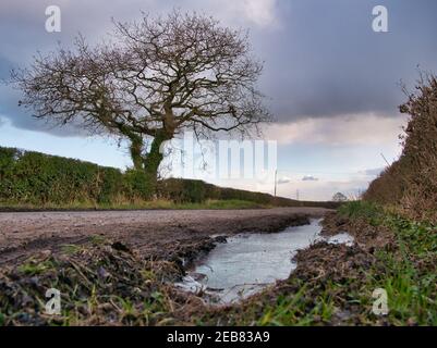 Eis auf der Seite einer verlassenen Landstraße in Wirral, England, UK an einem kalten Tag im Winter. Ein blattloser Baum in erscheint im Hintergrund. Stockfoto