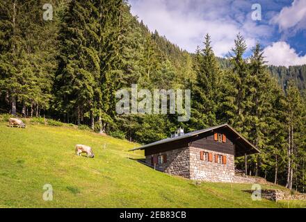 Traditionelles Alpenhaus im Dorf Trentino-Südtirol mit Alpen im Hintergrund. Cembra Tal, Provinz Trient - Norditalien Stockfoto