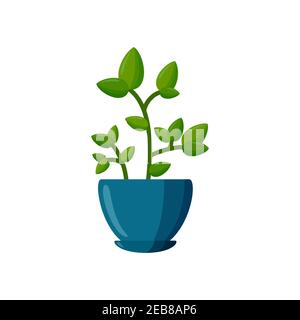 Topfpflanze. Grüne Pflanze im Cartoon-Stil. Vektorgrafik isoliert auf weißem Hintergrund Stock Vektor