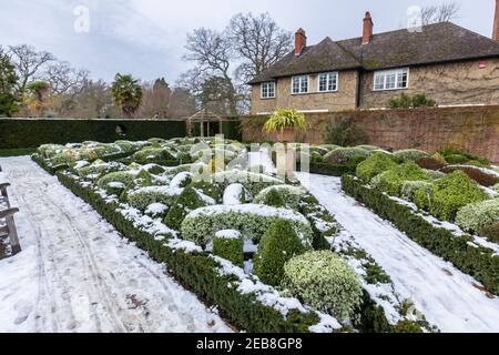 Der formelle Knot Garden im RHS Garden, Wisley, Surrey, Südostengland, im Winter mit ordentlich beschnittenen Büschen und Hecken, die mit Schnee bedeckt sind Stockfoto