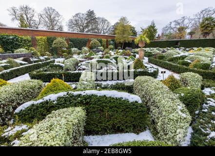 Der formelle Knot Garden im RHS Garden, Wisley, Surrey, Südostengland, im Winter mit ordentlich beschnittenen Büschen und Hecken, die mit Schnee bedeckt sind Stockfoto