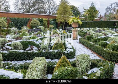 Der formelle Knot Garden im RHS Garden, Wisley, Surrey, Südostengland, im Winter mit ordentlich beschnittenen Büschen und Hecken, die mit Schnee bedeckt sind Stockfoto