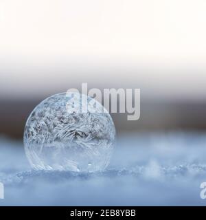 Kunstvolle Frostmuster gefrorene Blase auf Schnee bei eisiger Temperatur Im Winter Stockfoto