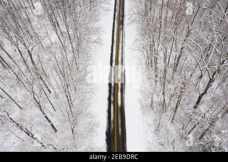 Frischer Schnee liegt in den Bäumen und auf der Straße von Hueston Woods, einem Ohio State Park im Winter. Die verschneite Straße führt um den See und den Park. Stockfoto
