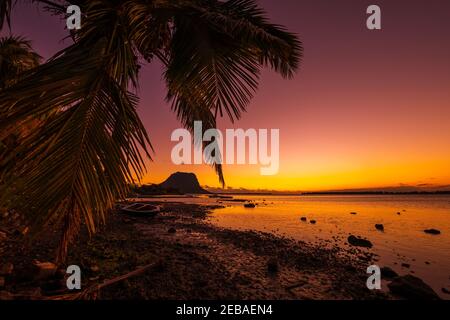Fischerboot und Palme bei Sonnenuntergang. Le Morn Berg im Hintergrund in Mauritius. Stockfoto