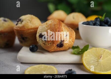 Hausgemachte Zitronen-Blaubeer-Muffins, selektiver Fokus Stockfoto