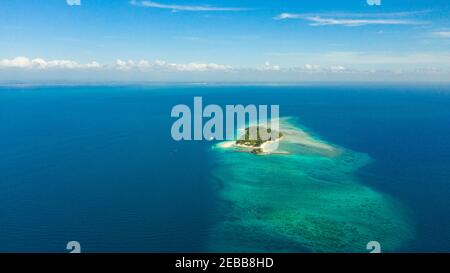 Luftaufnahme von Little Liguid Island mit Sandstrand, Palmen am Atoll mit Korallenriff. Little Cruz Island, Philippinen, Samal. Stockfoto