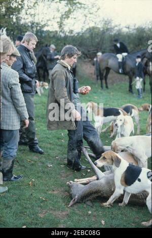 Devon und Somerset Staghounds November 17th 1981. Rothirschhinden wurden während der Schwangerschaft gejagt. Sie liefen oft von den Hunden in Gesellschaft mit ihrem Kalb aus dem Vorjahr. An diesem Tag wurden eine Hinde und ihr einjähriges Kalb gemeinsam gejagt und beide getötet. Hier hält ein Jagdunterstützer das Herz fest, das aus dem Körper der Hinterhand gerissen wurde. Das war lange vor dem Jagdgesetz 2004, das diesen Zeitvertreib aus Grausamkeit verbannte. Stockfoto