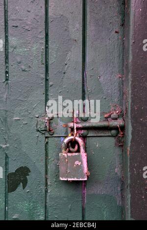 Schraube mit Vorhängeschloss auf lackierter Holztür Stockfoto