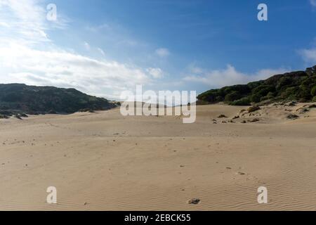 Blick auf die große Wanderdüne in Bolonia Die Costa de La Luz in Andalusien Stockfoto