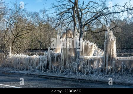 Eiszapfen und Eisformationen auf Bäumen am Straßenrand während eines kalten Winters bekannt als das Biest aus dem Osten in Hampshire, Großbritannien, im Winter, Mitte Februar 2021 Stockfoto