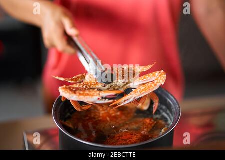 Die gekochte blaue Krabbe aus dem Topf mit kochendem Wasser herausnehmen. Stockfoto