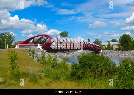 Peace Bridge, Calgary, Alberta, Kanada. Eine Fußgänger- und Fahrradbrücke, die die Bow River Wege auf dem Bow River verbindet. Stockfoto