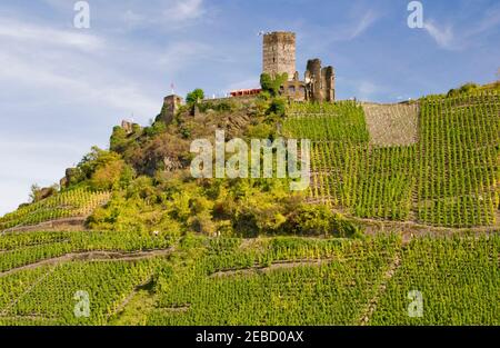 Schloss Metternich liegt auf einem Hügel über dem Dorf Beilstein an der Mosel in Deutschland. Stockfoto