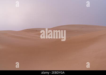 Wilde Wüstenlandschaft und große Sanddüne mit unter einer Bewölktes Abendhimmel Stockfoto