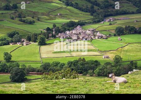 Panoramablick auf das Dorf Muker, Swaledale, Yorkshire Dales National Park, bei Heuernte Zeit mit einem ruhenden Schaf im Vordergrund Stockfoto