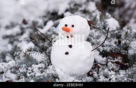 Kleiner Schneemann sitzt auf Ästen von immergrünen Strauch am Wintertag. Stockfoto