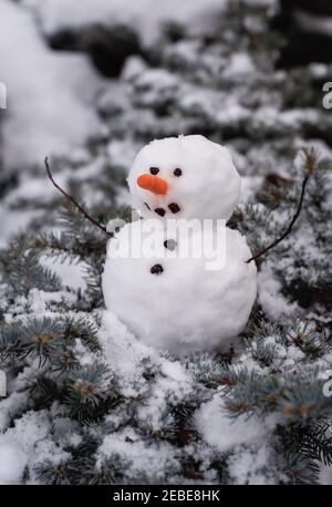 Kleiner Schneemann sitzt auf Ästen von immergrünen Strauch am Wintertag. Stockfoto