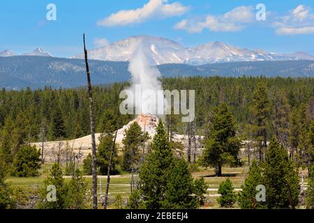 White Dome Geysir, Firehole Lake Drive, Yellowstone National Park Stockfoto