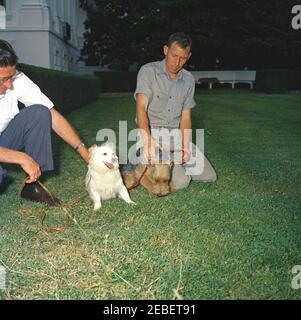 Puschinka, ein Hund, der von Nikita Chruschtschow, dem Premierminister der Sowjetunion (UdSSR), an Präsident Kennedy geschenkt wurde. Ankunft des Hundes Puschinka, ein Geschenk des sowjetischen Premier Nikita Chruschtschow an Präsident John F. Kennedy und Familie. (L-R) Robert M. Redmond, Chefgärtner des Weißen Hauses; Pushinka; Charlie (ein walisischer Terrier); und Hassel Adams. Rose Garden, White House, Washington, D.C. Stockfoto