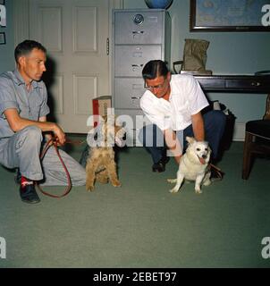 Puschinka, ein Hund, der von Nikita Chruschtschow, dem Premierminister der Sowjetunion (UdSSR), an Präsident Kennedy geschenkt wurde. Ankunft des Hundes Puschinka, ein Geschenk des sowjetischen Premier Nikita Chruschtschow an Präsident John F. Kennedy und Familie. (L-R) Hassel Adams; Charlie (ein walisischer Terrier); Robert M. Redmond, Chefgärtner des Weißen Hauses; und Pushinka. White House Pressesprecher Pierre Salingeru2019s Büro, White House, Washington, D.C. Stockfoto