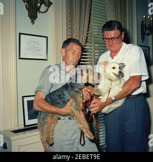 Puschinka, ein Hund, der von Nikita Chruschtschow, dem Premierminister der Sowjetunion (UdSSR), an Präsident Kennedy geschenkt wurde. Ankunft des Hundes Puschinka, ein Geschenk des sowjetischen Premier Nikita Chruschtschow an Präsident John F. Kennedy und Familie. (L-R) Hassel Adams; Charlie (ein Welsh Terrier); Pushinka; und Robert M. Redmond, Chief Gardener des Weißen Hauses. White House Pressesprecher Pierre Salingeru2019s Büro, White House, Washington, D.C. Stockfoto