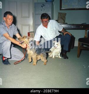 Puschinka, ein Hund, der von Nikita Chruschtschow, dem Premierminister der Sowjetunion (UdSSR), an Präsident Kennedy geschenkt wurde. Ankunft des Hundes Puschinka, ein Geschenk des sowjetischen Premier Nikita Chruschtschow an Präsident John F. Kennedy und Familie. (L-R) Hassel Adams; Charlie (ein walisischer Terrier); Robert M. Redmond, Chefgärtner des Weißen Hauses; und Pushinka. White House Pressesprecher Pierre Salingeru2019s Büro, White House, Washington, D.C. Stockfoto