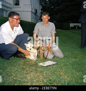 Puschinka, ein Hund, der von Nikita Chruschtschow, dem Premierminister der Sowjetunion (UdSSR), an Präsident Kennedy geschenkt wurde. Ankunft des Hundes Puschinka, ein Geschenk des sowjetischen Premier Nikita Chruschtschow an Präsident John F. Kennedy und Familie. (L-R) Robert M. Redmond, Chefgärtner des Weißen Hauses; Pushinka; Charlie (ein walisischer Terrier); und Hassel Adams. Rose Garden, White House, Washington, D.C. Stockfoto
