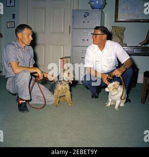Puschinka, ein Hund, der von Nikita Chruschtschow, dem Premierminister der Sowjetunion (UdSSR), an Präsident Kennedy geschenkt wurde. Ankunft des Hundes Puschinka, ein Geschenk des sowjetischen Premier Nikita Chruschtschow an Präsident John F. Kennedy und Familie. (L-R) Hassel Adams; Charlie (ein walisischer Terrier); Robert M. Redmond, Chefgärtner des Weißen Hauses; und Pushinka. White House Pressesprecher Pierre Salingeru2019s Büro, White House, Washington, D.C. Stockfoto