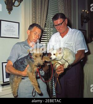Puschinka, ein Hund, der von Nikita Chruschtschow, dem Premierminister der Sowjetunion (UdSSR), an Präsident Kennedy geschenkt wurde. Ankunft des Hundes Puschinka, ein Geschenk des sowjetischen Premier Nikita Chruschtschow an Präsident John F. Kennedy und Familie. (L-R) Hassel Adams; Charlie (ein Welsh Terrier); Pushinka; und Robert M. Redmond, Chief Gardener des Weißen Hauses. White House Pressesprecher Pierre Salingeru2019s Büro, White House, Washington, D.C. Stockfoto