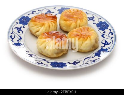 Hausgemachte Shui jian bao, taiwanesische Pfanne gebraten Schweinefleisch Brötchen isoliert auf weißem Hintergrund Stockfoto