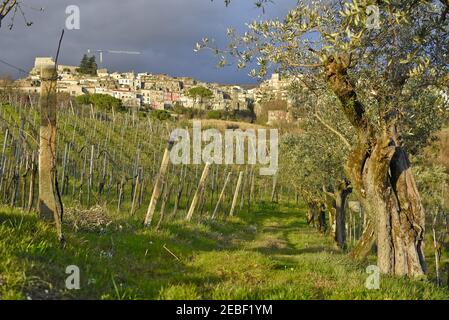 Panoramablick auf die Altstadt von Guardia Sanframondi in der Provinz Benevento, Italien. Stockfoto