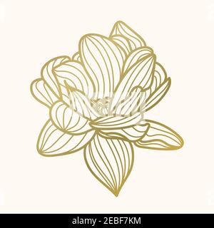 Lotus-Vektor-Illustration. Von Hand gezeichnet. Goldene Lotusblume. Linie. Isoliert auf weißem Hintergrund. Stock Vektor