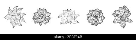 Set von Lotusblumen in verschiedenen Ansichten. Sammlung von handgezeichneten Konturillustrationen. Schwarze Linie. Vektorgrafik isoliert auf weißem Hintergrund. Stock Vektor