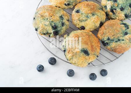 Hausgemachte Blaubeer-Muffins auf einem Kühlregal. Stockfoto