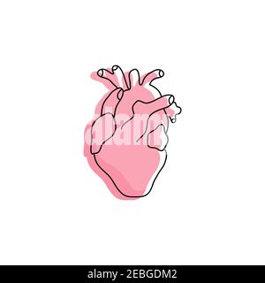 Silhouette der menschlichen Herz Linie Kunst. Isolierte Herz auf weißem Hintergrund. Linearer Stil. Vektorgrafik. Stock Vektor