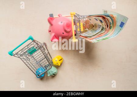 Große Schweinebank rollender Einkaufswagen mit Euro-Scheinen und kleine Schweinebänke mit leerem Trolley-Wagen. Ferkelbanken mit leerem Einkaufswagen und großem Schwein Stockfoto