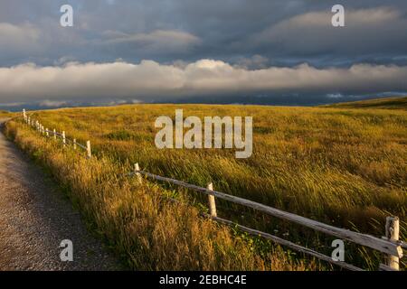 Landschaft, Wolken, Ozean und Zaun in den frühen Morgen, St. Bride's, Neufundland Stockfoto