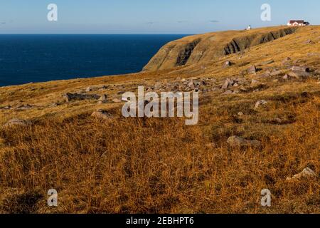 Cape St. Mary's Ecological Reserve im Herbst, nachdem die Vögel für die Saison, Neufundland, Kanada Stockfoto