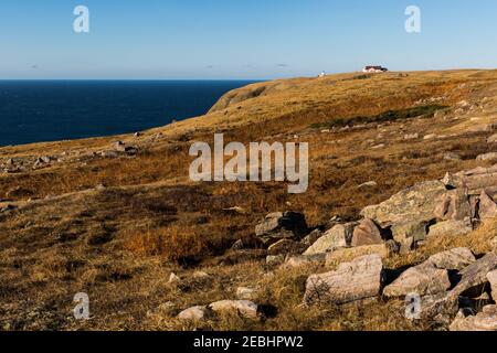 Cape St. Mary's Ecological Reserve im Herbst, nachdem die Vögel für die Saison, Neufundland, Kanada Stockfoto