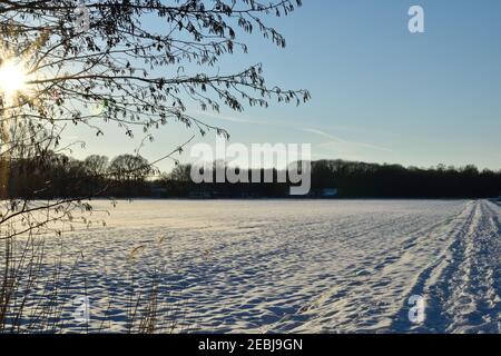 Schneebedecktes Feld in den Niederlanden unter einem kalten Blau Winterhimmel Stockfoto