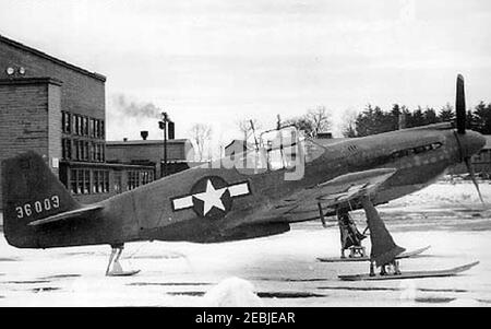 North American P-51A-NA, Ski-Modifikation, Seitenansicht (SN 43-6003). Zuerst -EIN Modell gebaut 061023 Stockfoto