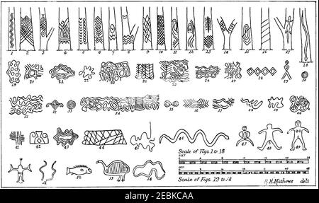 Anmerkungen zu den Aborigines von New South Wales - Abb. 2 Baumschnitzereien und Grundzeichnungen. Stockfoto