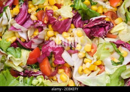 Frischer Salat mit Tomaten, Mais und Salatblättern - Frisee, romano, mangold. Stockfoto
