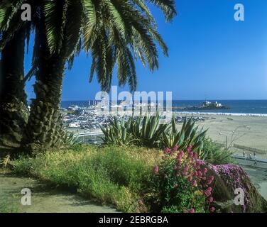 2001 HISTORISCHE KAKTEEN BLUMEN PALMEN SANTA MONICA PIER SANTA MONICA BEACH CALIFORNIA USA Stockfoto