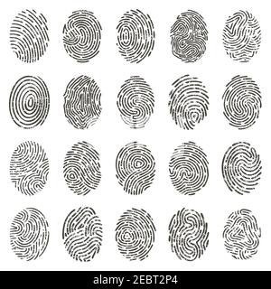 Biometrische Fingerabdrücke. Menschliche Grunge individuelle Fingerabdrücke, biometrische Daumenlinien und Handmarken. Vektordarstellung zur Identifizierung von Fingerabdrücken Stock Vektor